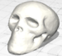 Skull Button Cap 3D model