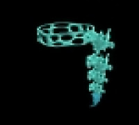 Bone necklance 3D model