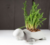 Turtle Planter 3D model