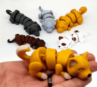 Lazy Dogs 3D model