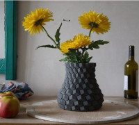 VASE-06 3D model