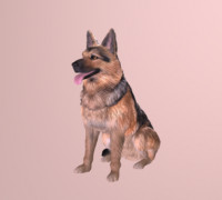 German Shepherd 3D model