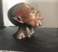 Sengir Vampire Bust 3D model