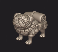 Pack Pug 3D model