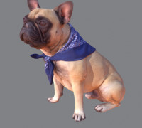 French Bulldog 3D model