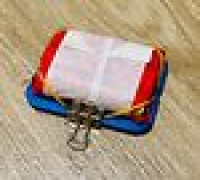 CSSC Spiderweb Confetti Streamer Case 3D model