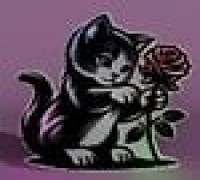 little cat 3D model