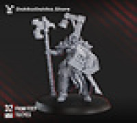 Blightshield Witch 3D model