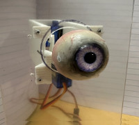 Single Moving Eye 3D model