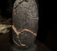oviraptor egg (elongatoolithus) with support 3D model