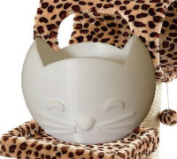 Cat Vessel 3D model