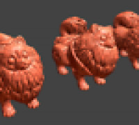 Pack Pomeranian 3D model