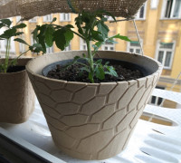 honeycomb planter #2 3D model