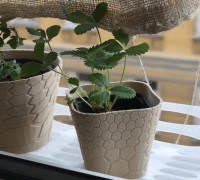 honeycomb planter #1 3D model