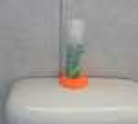 41mm bottle holder 3D model