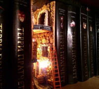 Fantasy Bookshelf Insert 3D model
