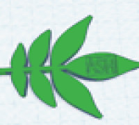 Ash Leaf 3D model