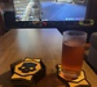Helldiver coasters 3D model