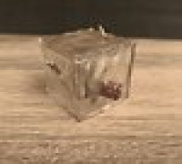 Gelatinous Cube with attachable items 3D model