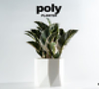 poly ⬝ PLANTER 3D model