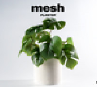 mesh ⬝ PLANTER 3D model