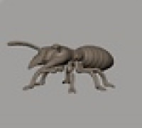 Termite Mini 3D model