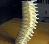 Spine Candle Holder 3D model