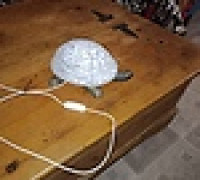 turtle lamp bambu mod 3D model