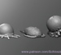 Boilborn 3D model