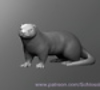 Otter 3D model
