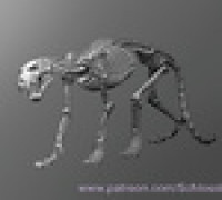 Leopard Skeleton 3D model