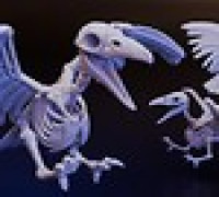 Bone Roc (DND / TTRPG) 3D model