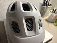 Helmet Insect Protection  3D model