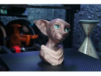 Dobby Multicolor Bust Support  3D model