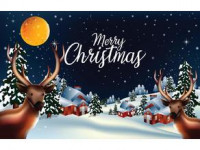 Shining Christmas Star 3D model