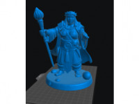 Dwarf Druid Female 1 3D model