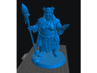 Dwarf Druid Female 2 3D model