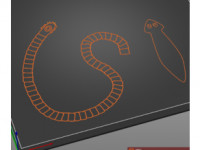 Tactile image: platyhelminthes 3D model