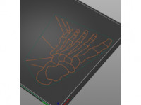 Tactile image: foot bones 3D model