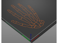 Tactile image: hand bones 3D model