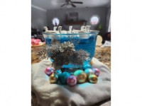 Floating Swan 3D model