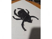 Horned Beetle 3D model