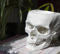 skull ashtray 3D model