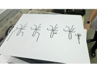 Tactile image: budding 3D model