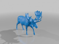 Majestic Moose 3D model