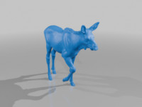 Young Moose 3D model