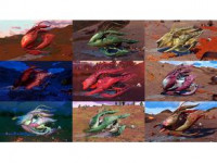 No Man's Sky NMS Living Space Ship Construction Pack 3D model