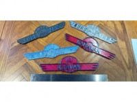 Kubvan Badge 3D model