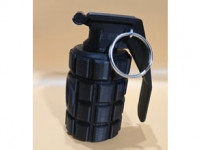 Dookie Bomb Remix 3D model