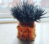 Flower-Plant pot 3D model